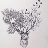 娟晓捧科技