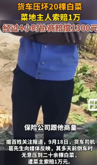 辽宁，货车司机压坏20多棵白菜，农户索赔5000，报警后改口10000。保险公司