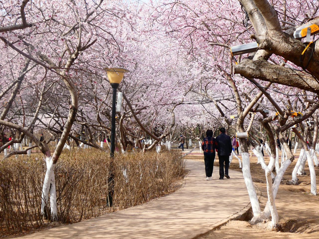 昨天，一条新闻让许多内蒙古人感到兴奋——中国（内蒙古）自由贸易试验区获批，其中内
