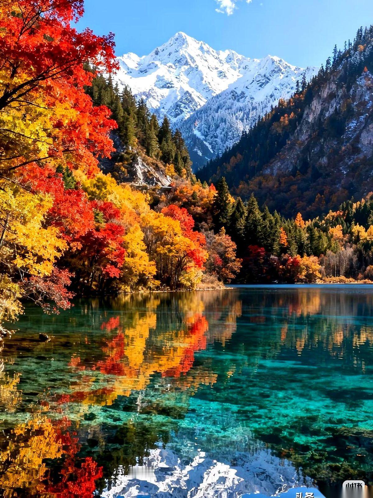 我跟你说个最扎心的秘密。
决定你能看见什么的，从来不是你的眼睛。
是你这颗心。