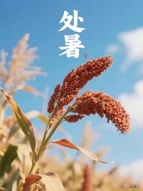 处暑

暑气渐消，凉风轻透碧纱，
残热未散，依旧滋扰人家。
蝉声渐息，炎炎威势稍