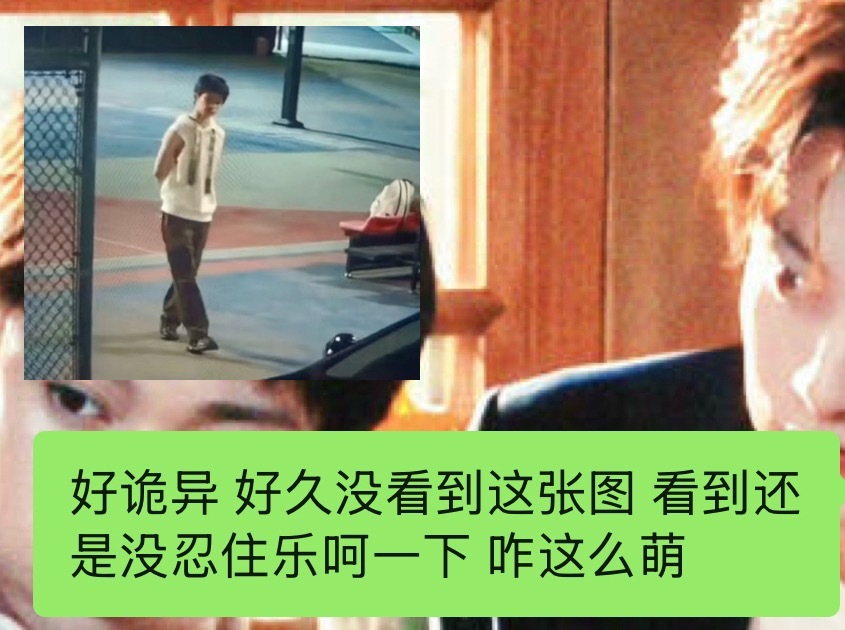 主任巡查幼年体 