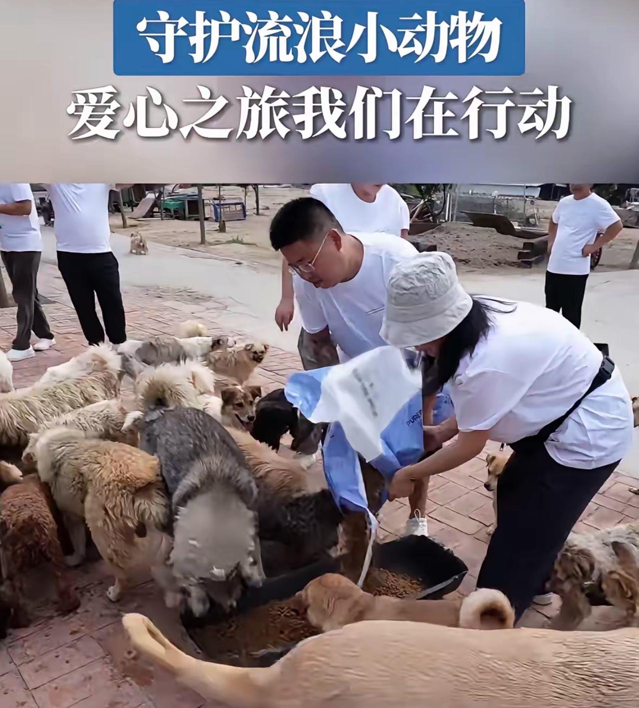 刚去查了一下。
鸿星尔克这波操作。
这不查不知道，一查还真让人感慨，原来它
​家