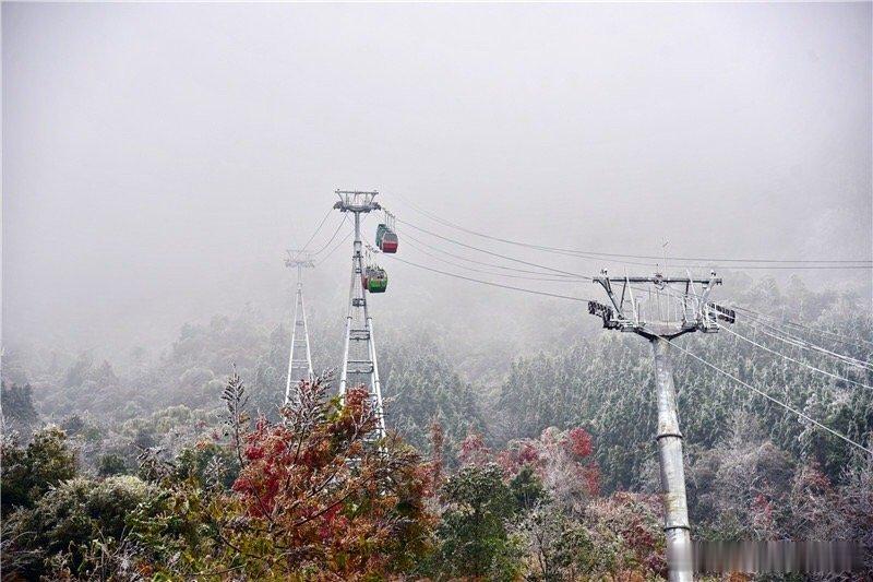 “夜深知雪重，时闻折竹声。”大年初六，春雪降广东雪山连山金子山，整座山变成了冰美