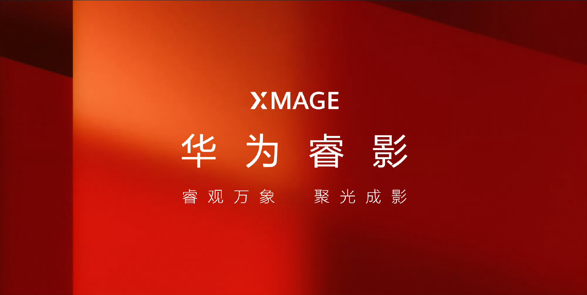 当然，还有一种说法是“睿”是“Richard”，“睿影”（RY）是“Richar