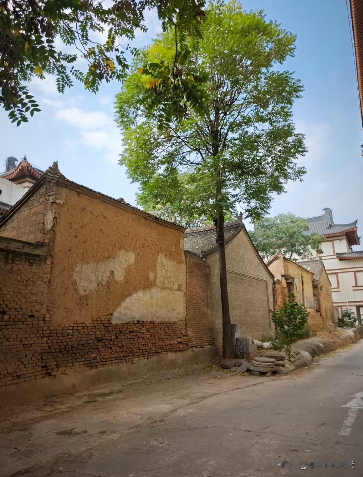 你敢相信在西安城墙下闹市区

居然有一座保存完整的清代民居

四合院，从碑林博物