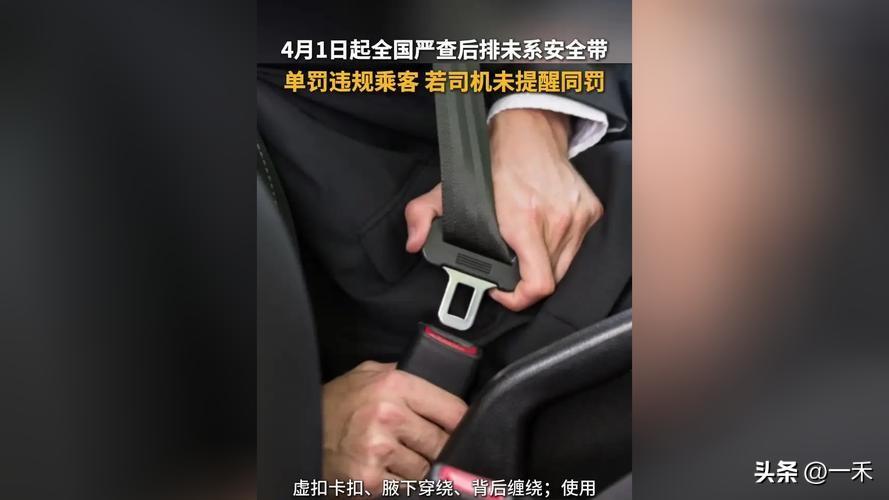 后排不系安全带谁被罚？司机还是乘客？权威解读来了
 
家人们，近期后排不系安全带