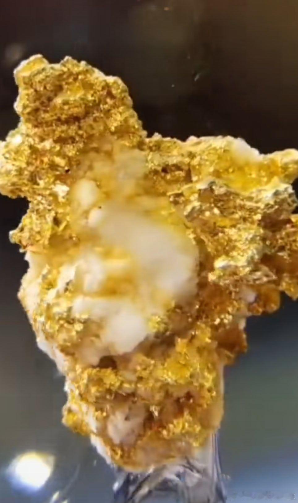能出手提点你的前辈，物质一无所求，认知层面你也难以与之同频。但他仍盼着你的正向回