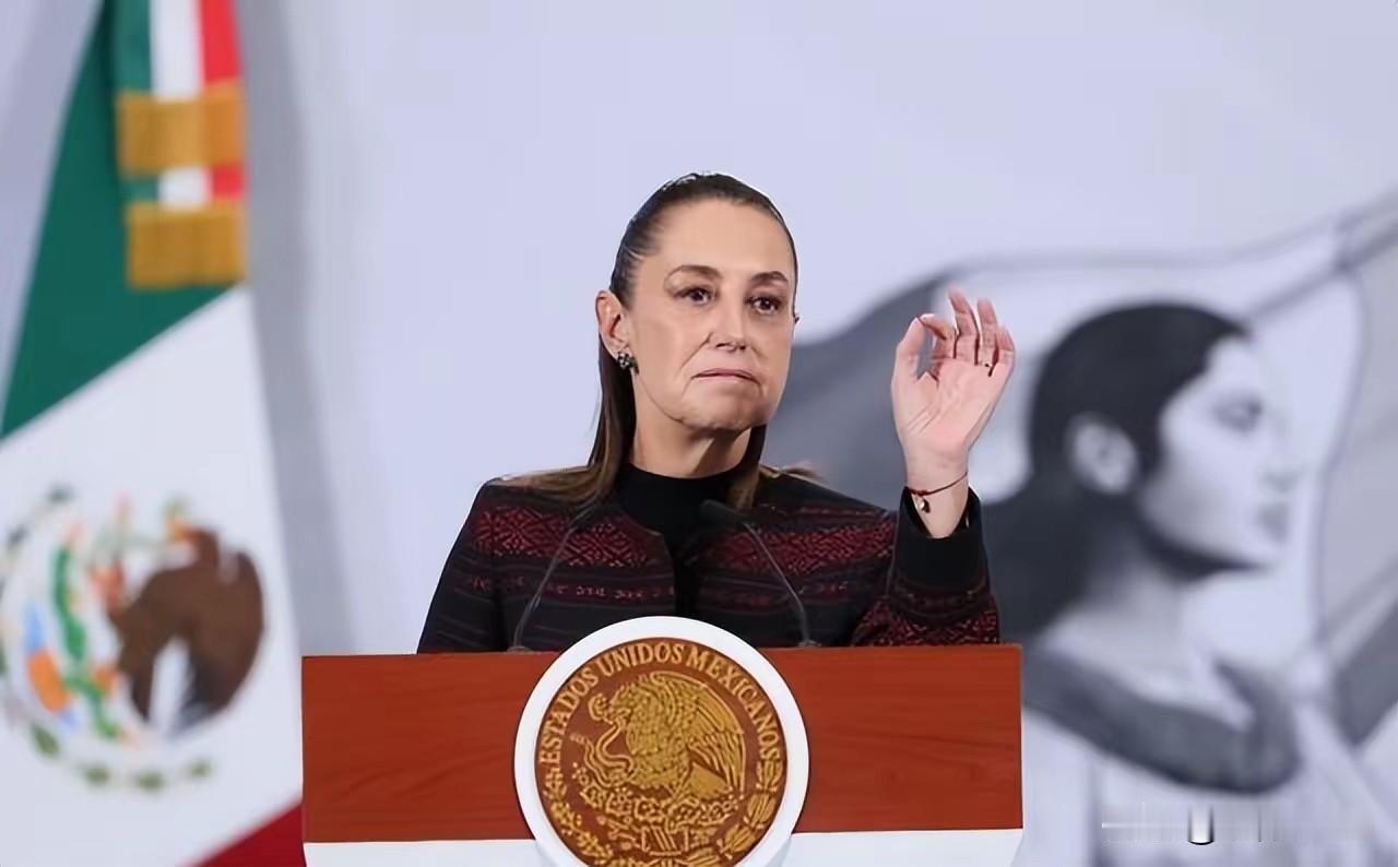 墨西哥对中国产品加征关税
中国启动反制调查
美国2025年发布国家安全报告，承认