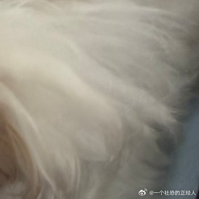 日行一善 每日一善阳光信用‎日行一善你好一起保护大自然与社会携手做公益关爱唇腭裂