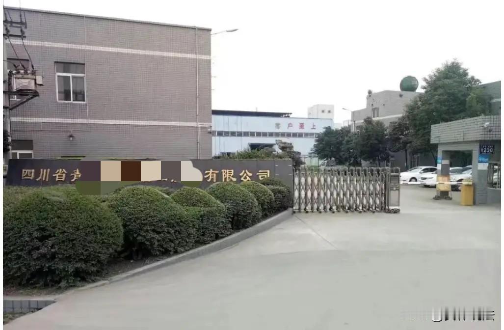四川眉山，男子回乡创业，投资7000多万元，期间，因借了银行1400多万元迟迟没