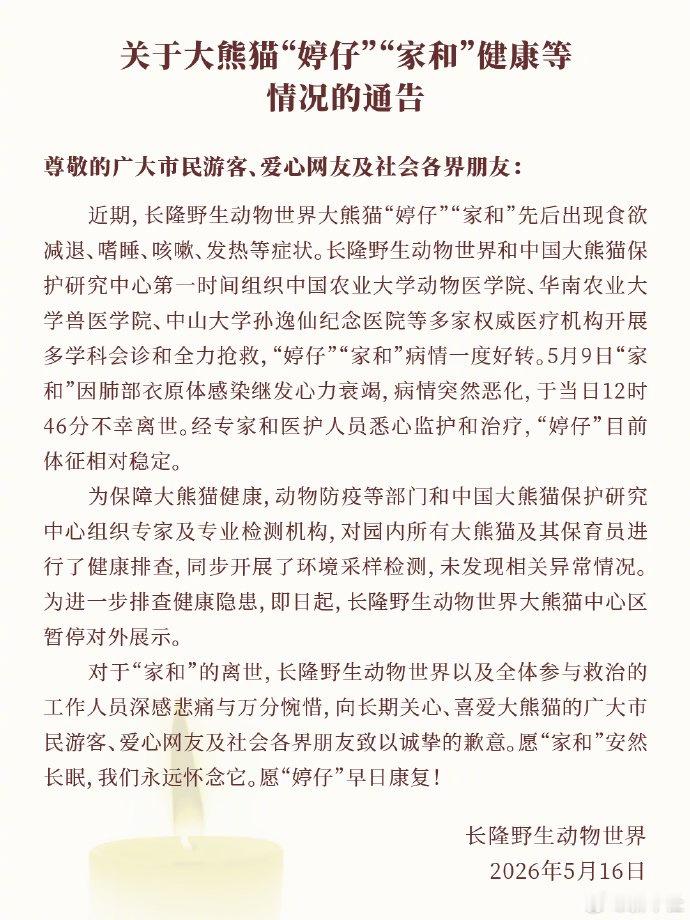 大熊猫家和因病去世【广州长隆野生动物世界：大熊猫“家和”因病离世 “婷仔”目前体