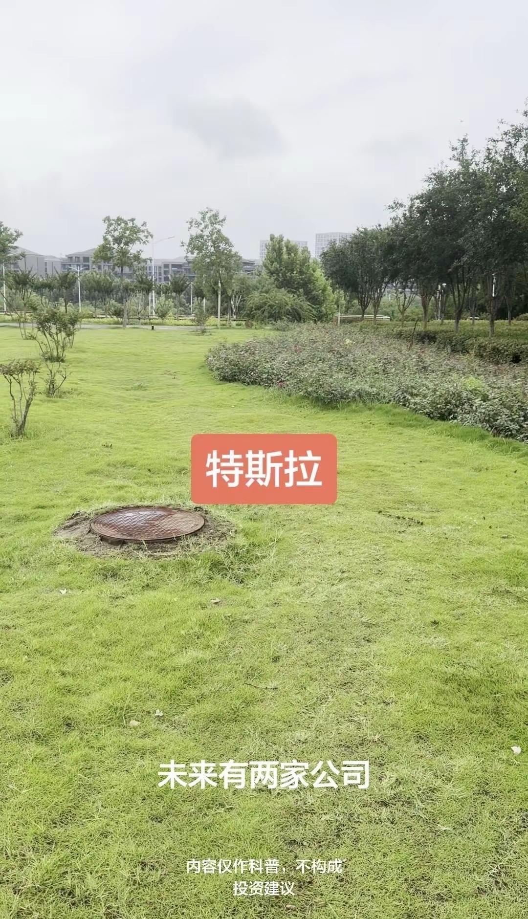 马斯克：特斯拉与谷歌谁是AI龙头？马斯克认为未来谷歌和特斯拉将是行业头部企业，我