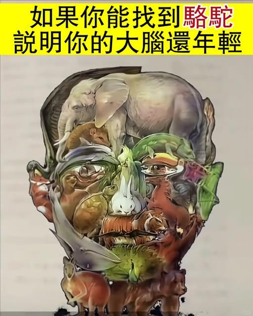 据说图片里有一头骆驼，我是没找到，眼力好的宝子给看下