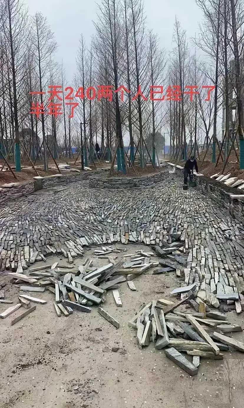 干了半年了，付不起工钱了