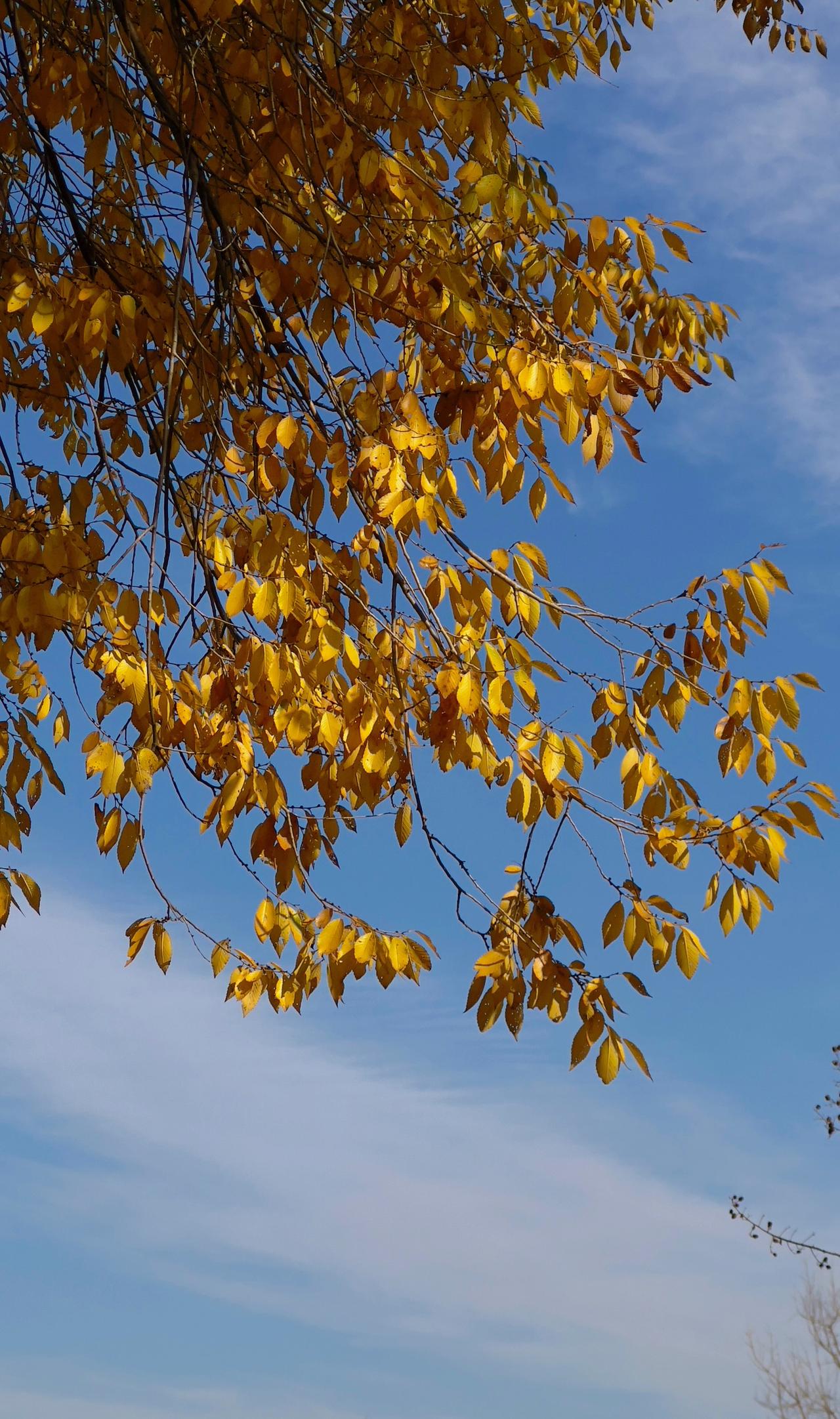 冬日里的一抹温柔与美好