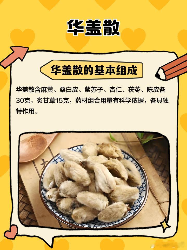 每日一剂名方：华盖散 —— 宣肺化痰的止咳良方在了解过百合地黄汤养阴清热、针对阴