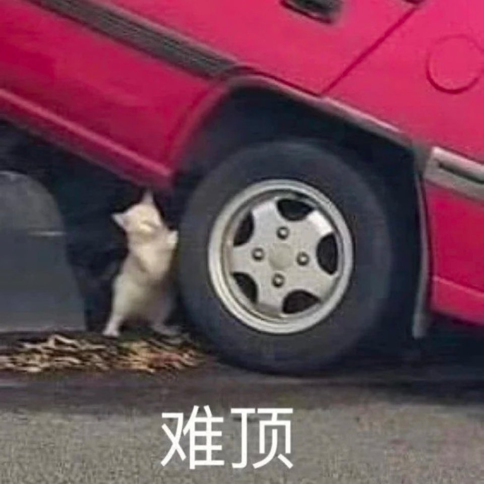 看重播孙怡和阚清子艰难带团实在忍不住想问：你俩为什么不选徐洁儿啊