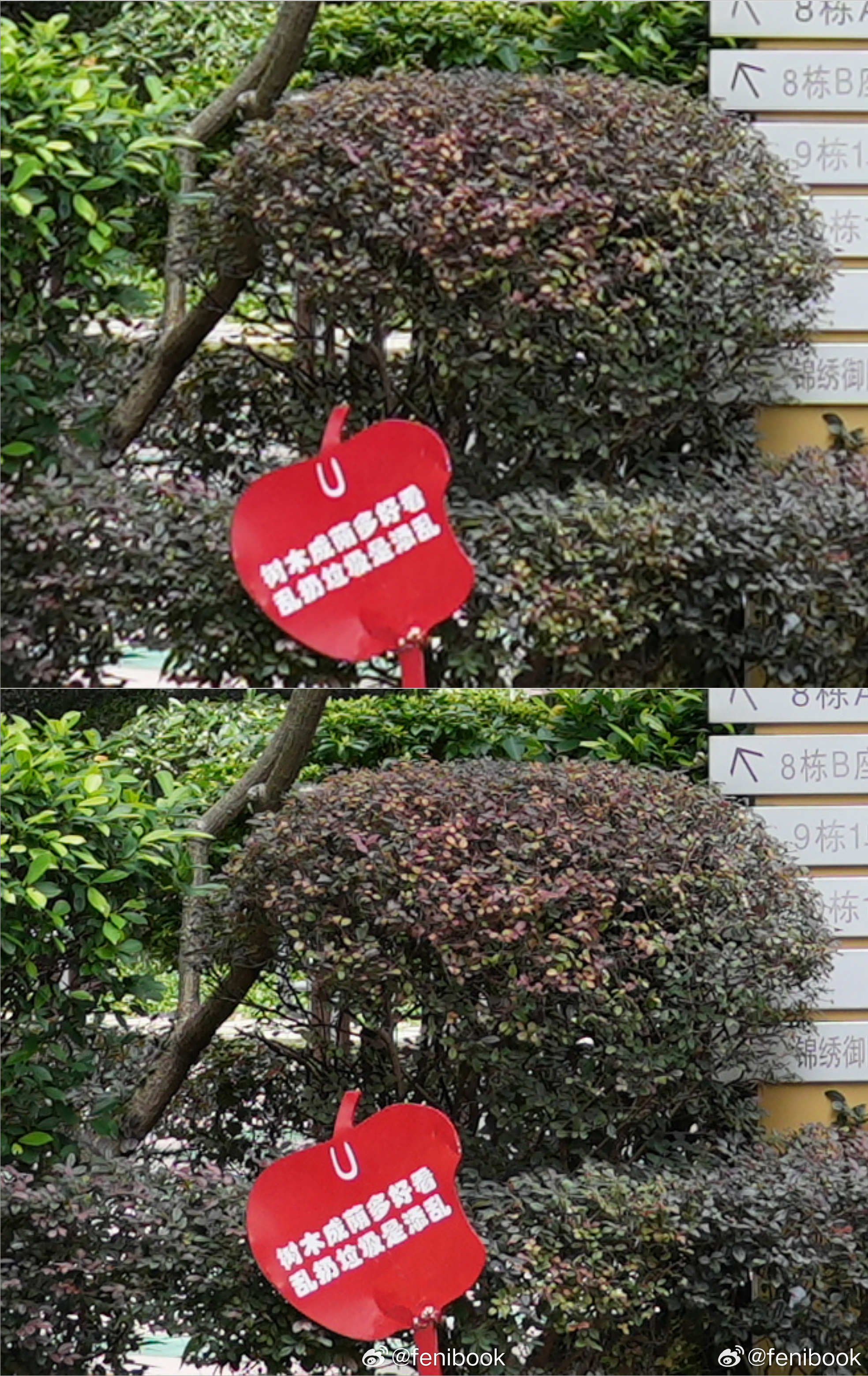 全画幅的6100万像素基本上到头了，毕竟从3300玩换到6100万解析力提升真的