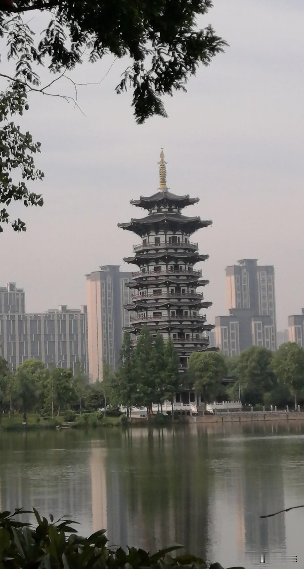 我们是从起始站上车的。
上车就看见，两位同一个小区的邻居刘奶奶，还有张阿姨也坐在