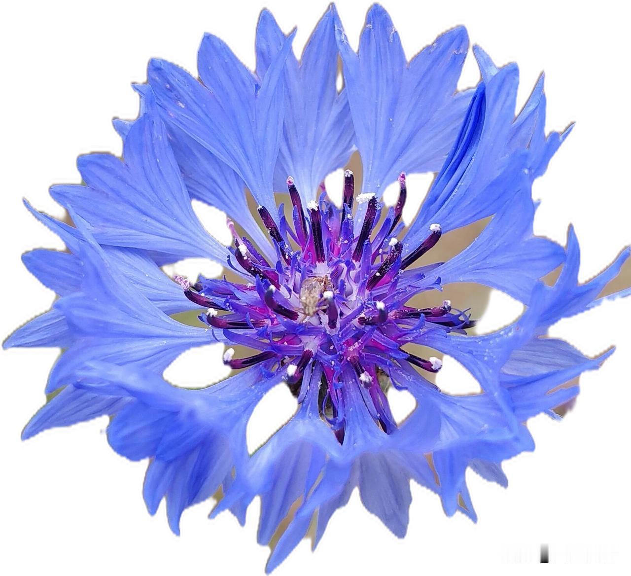 春日生活打卡季​今年春天最想实现的事：平安顺遂，万事如愿，心里有光，脚下有路。