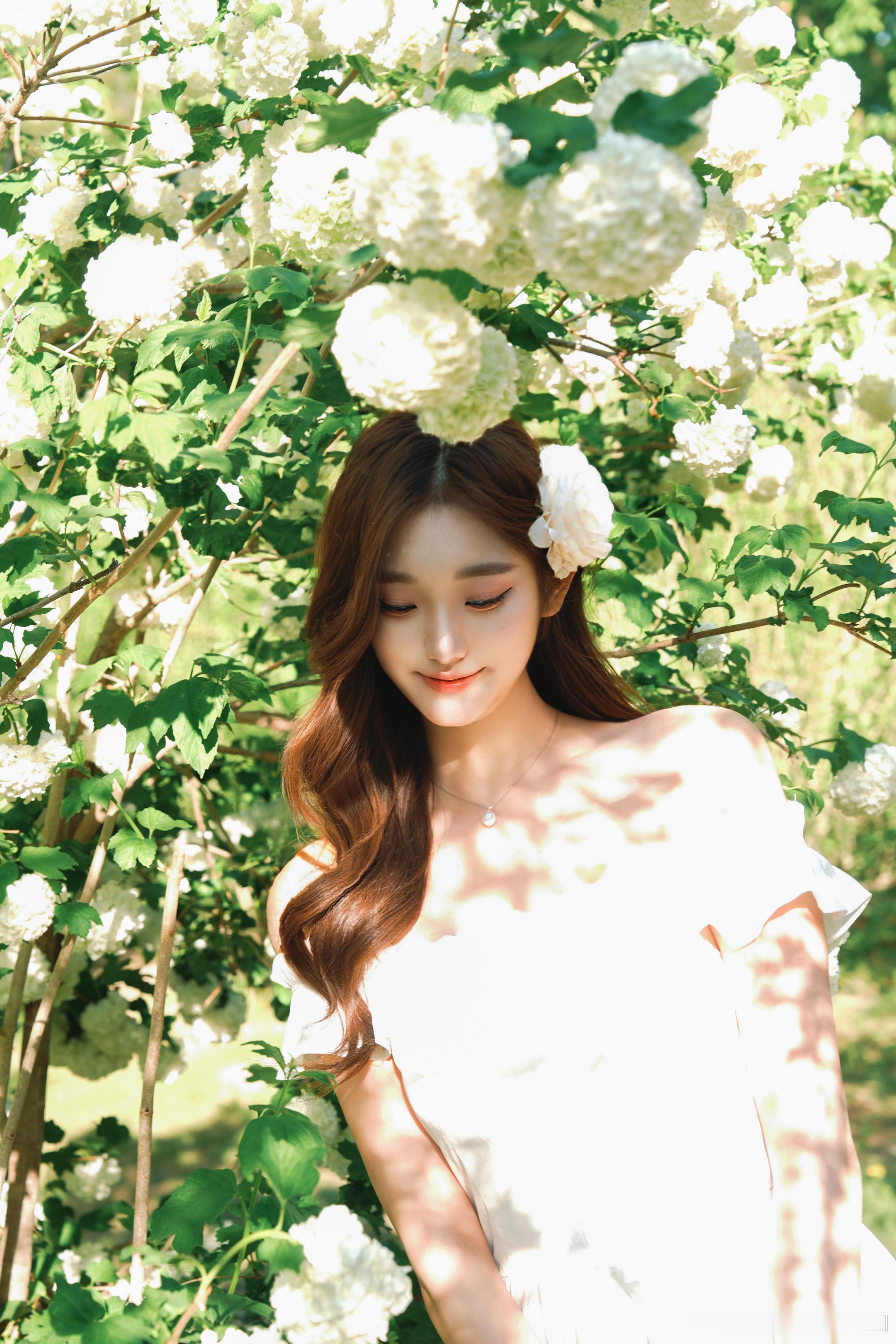 𝐻𝓎𝒹𝓇𝒶𝓃𝑔𝑒𝒶🕊️⊹⁺ 💐甜甜和绣球花[给你小心心]感