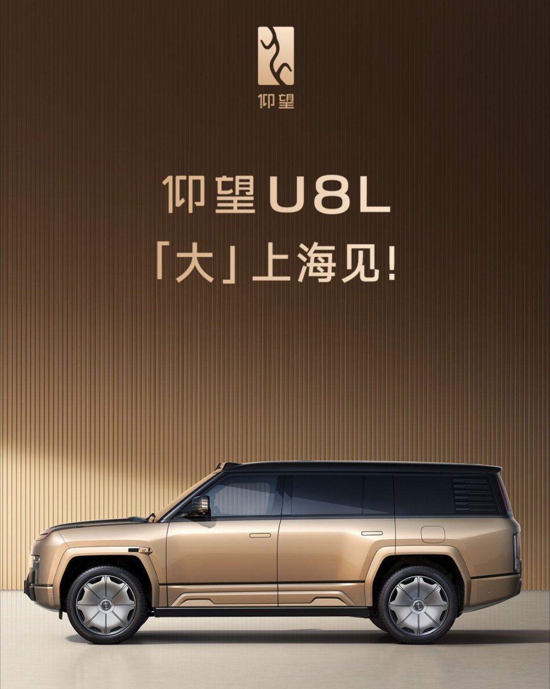 拉长以后，再配上这黑金色，豪华感确实更强了。 ​​​