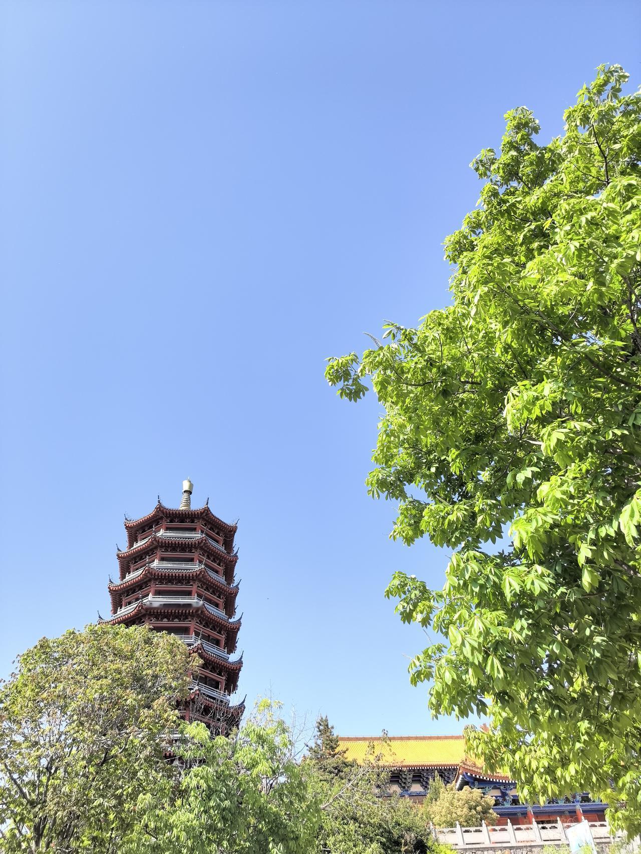 河津九龙庙三月三庙会开五天，韩城好像没有三月三庙会了。隐约记得三月三庙会买蒜苔，