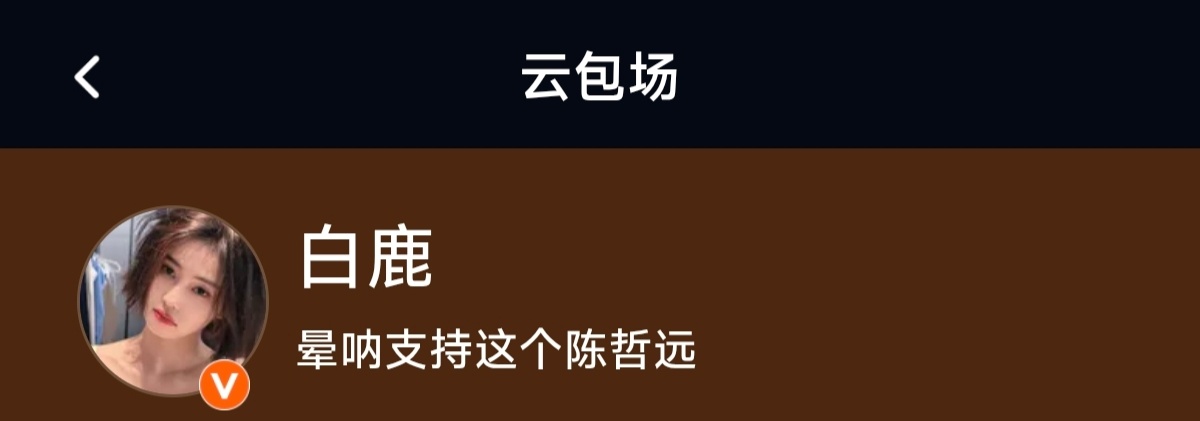 白鹿丞磊王楚然包场陈哲远新剧孩子每次名字都好有趣 好用心我们王韵娜真的好看晕呐?