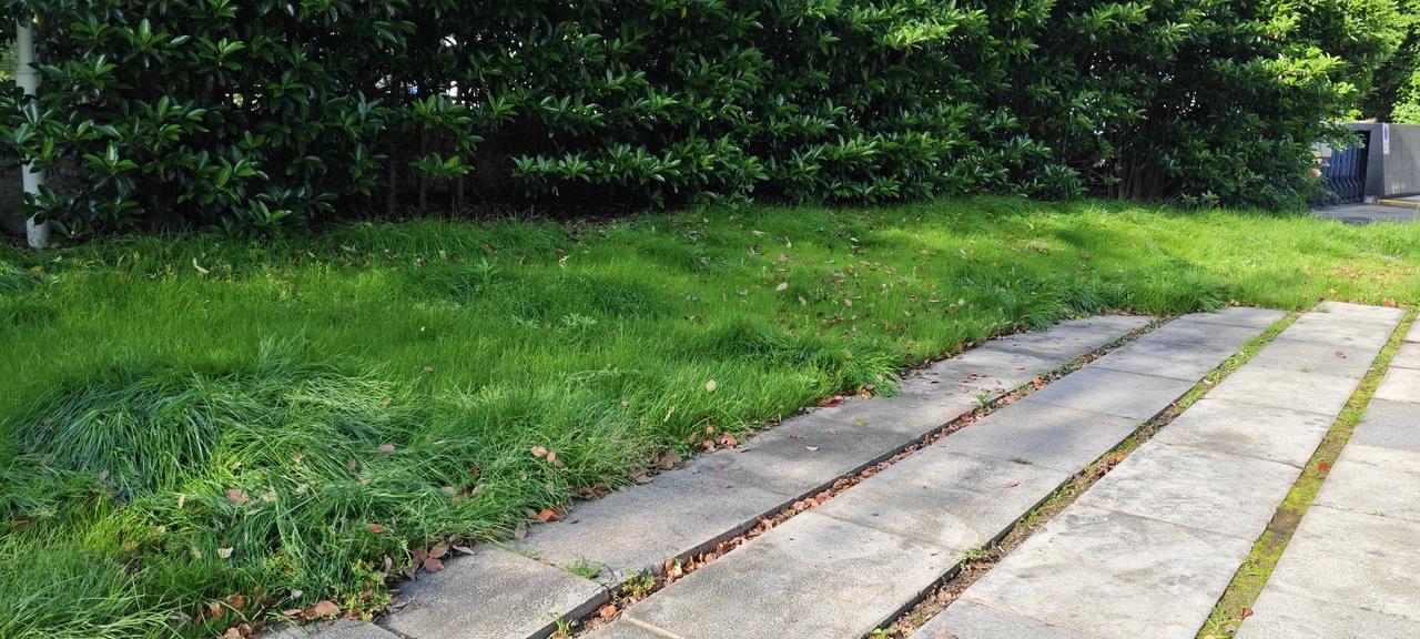 我觉得明年房价必然会降。从国家统计局公布的数据看，虽说2026年2月个别一线城市