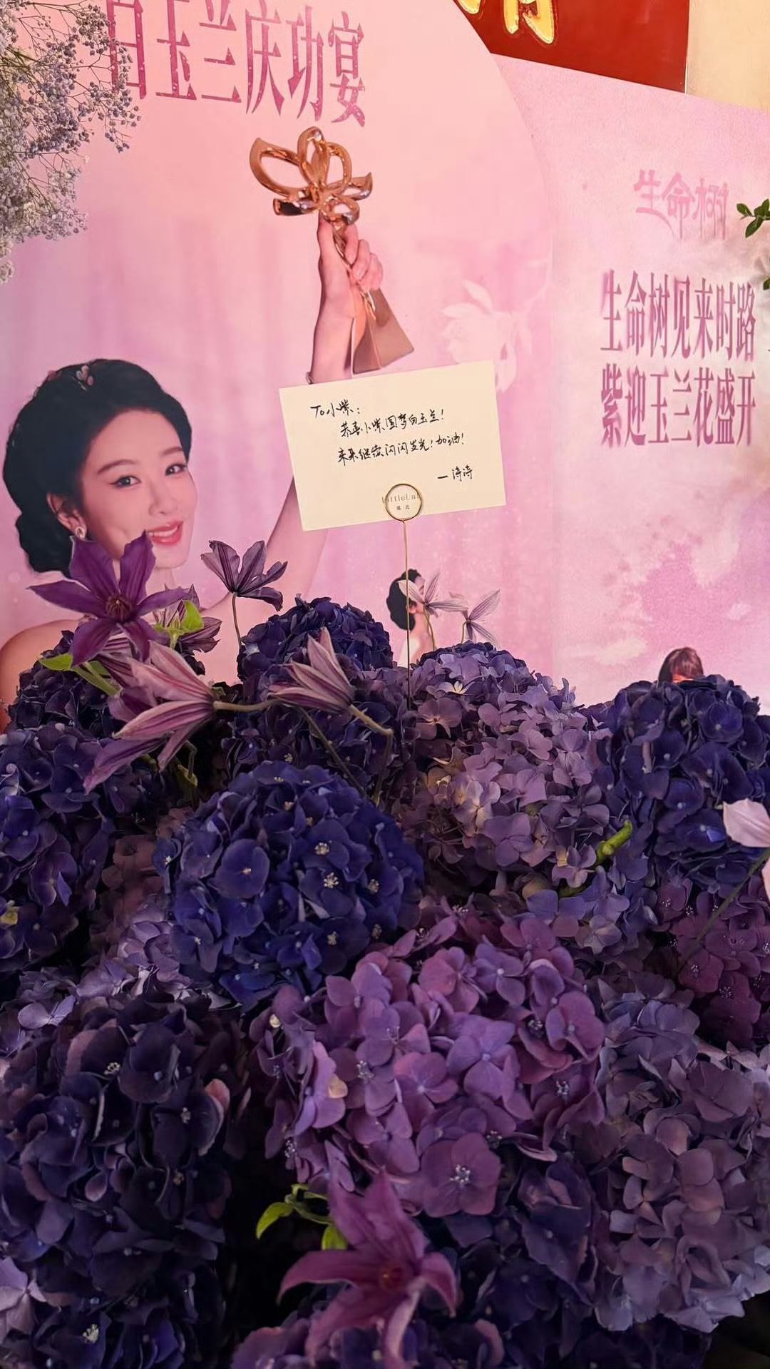 杨紫yz杨紫白菊 yz杨紫生命树遇见你 从此凛冬散尽 星河长明." 𝐌𝐞𝐭
