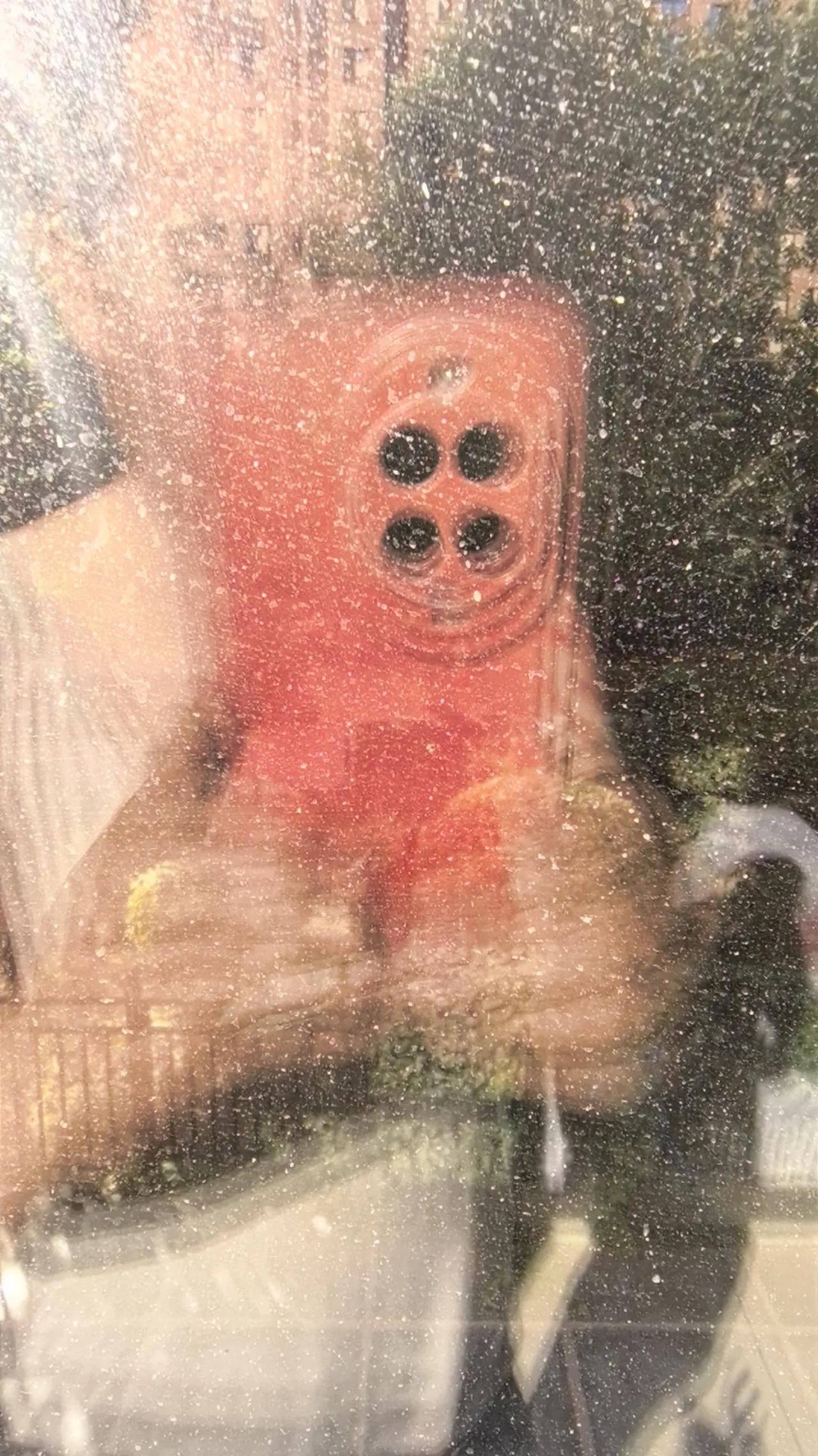 秋日生活打卡季秋天，近看一幅照片，似曾相识只在眼前。