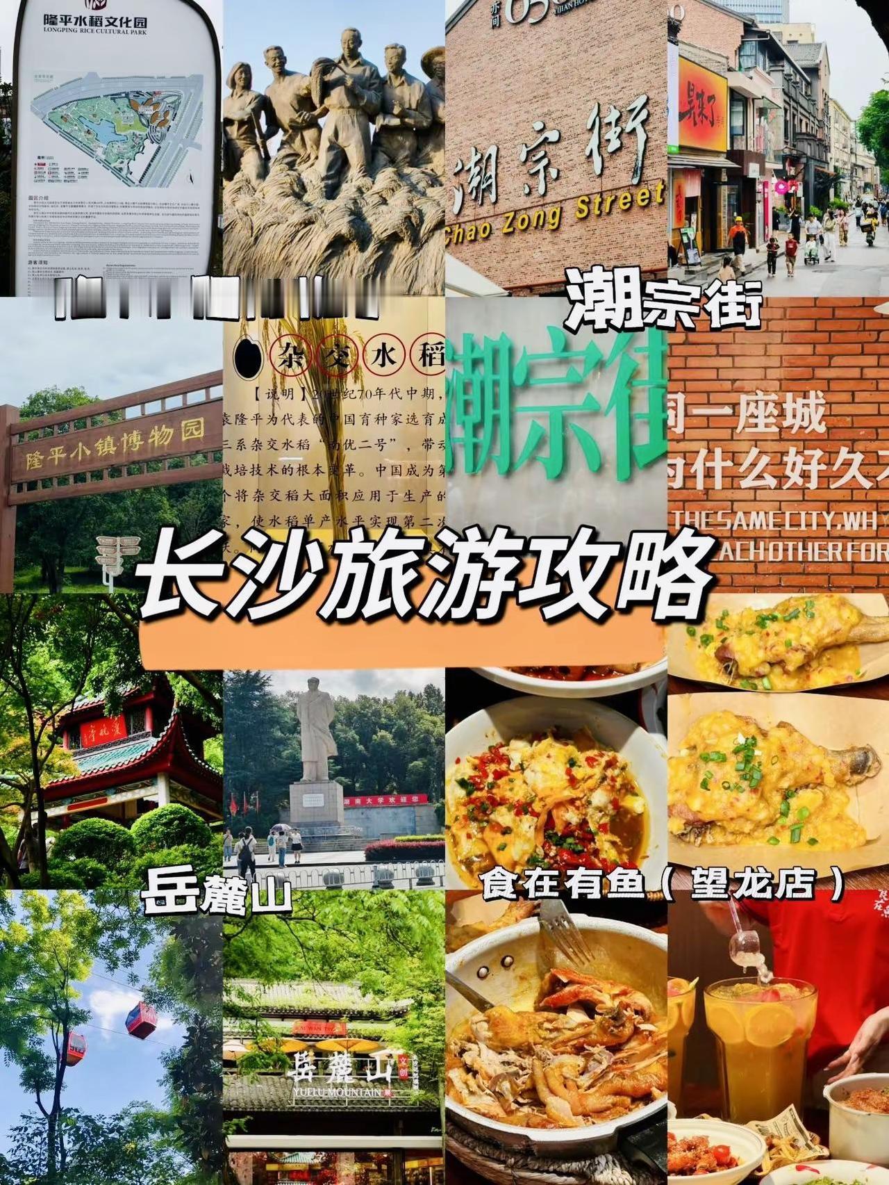 长沙两天一夜松弛游｜爬岳麓山逛书院，挖到平价地道老湘菜馆地铁直达所有点位，高铁飞