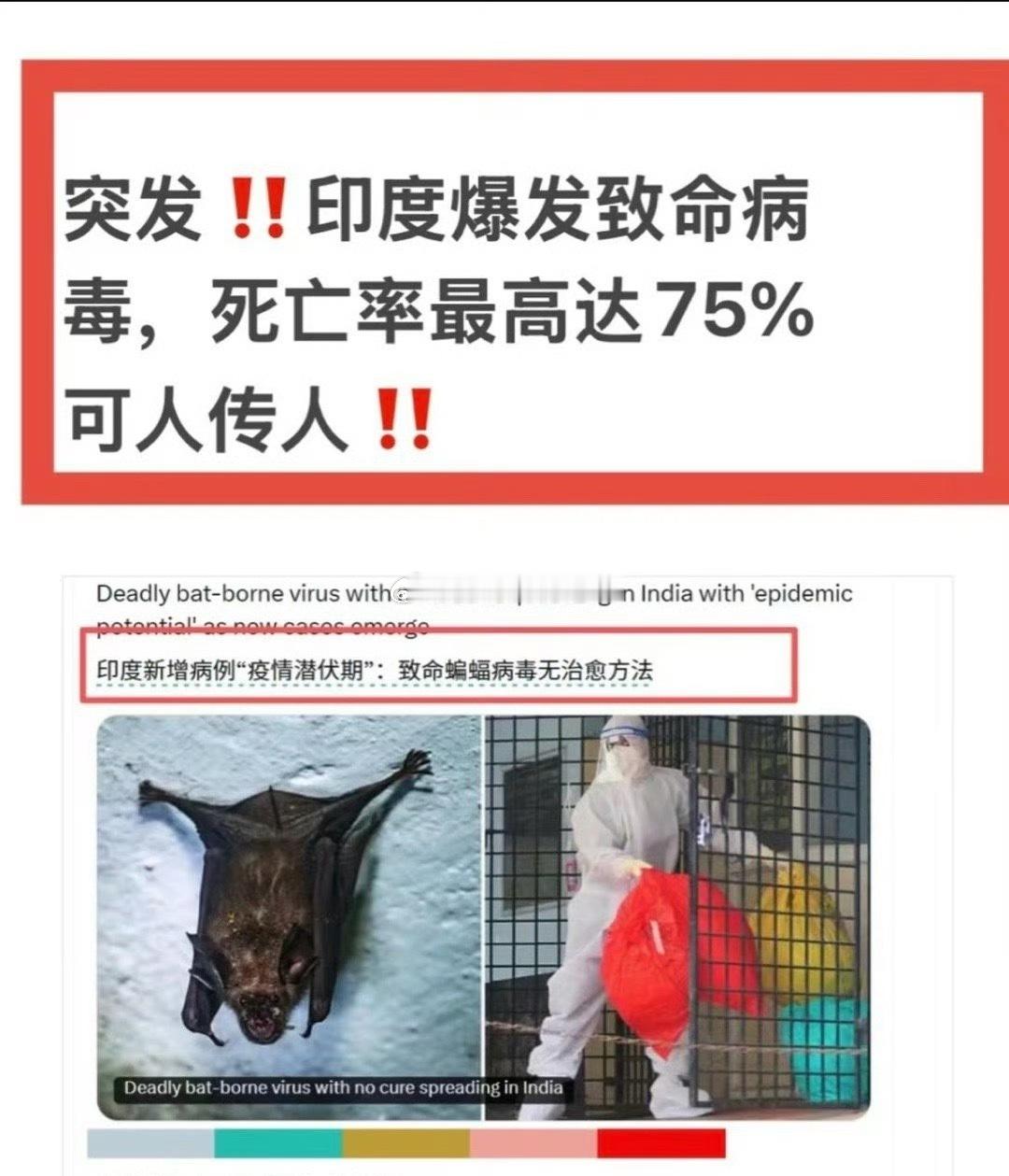 印度疫情感染者死亡率超7成印度西孟加拉邦暴发尼帕病毒，致死率40%-75%，已致