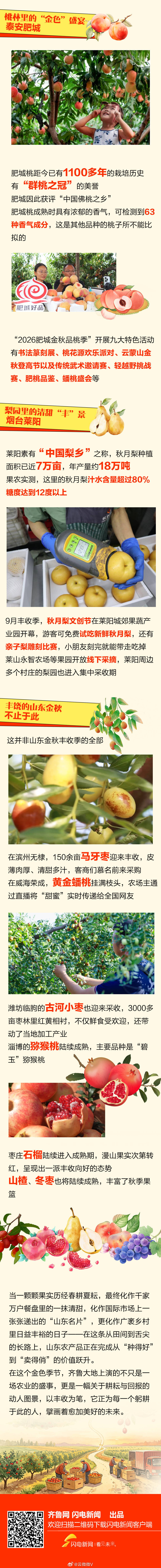 山东金秋甜蜜丰收图鉴【长图丨从枝头到舌尖 山东金秋“甜蜜”丰收图鉴】九月的山东，