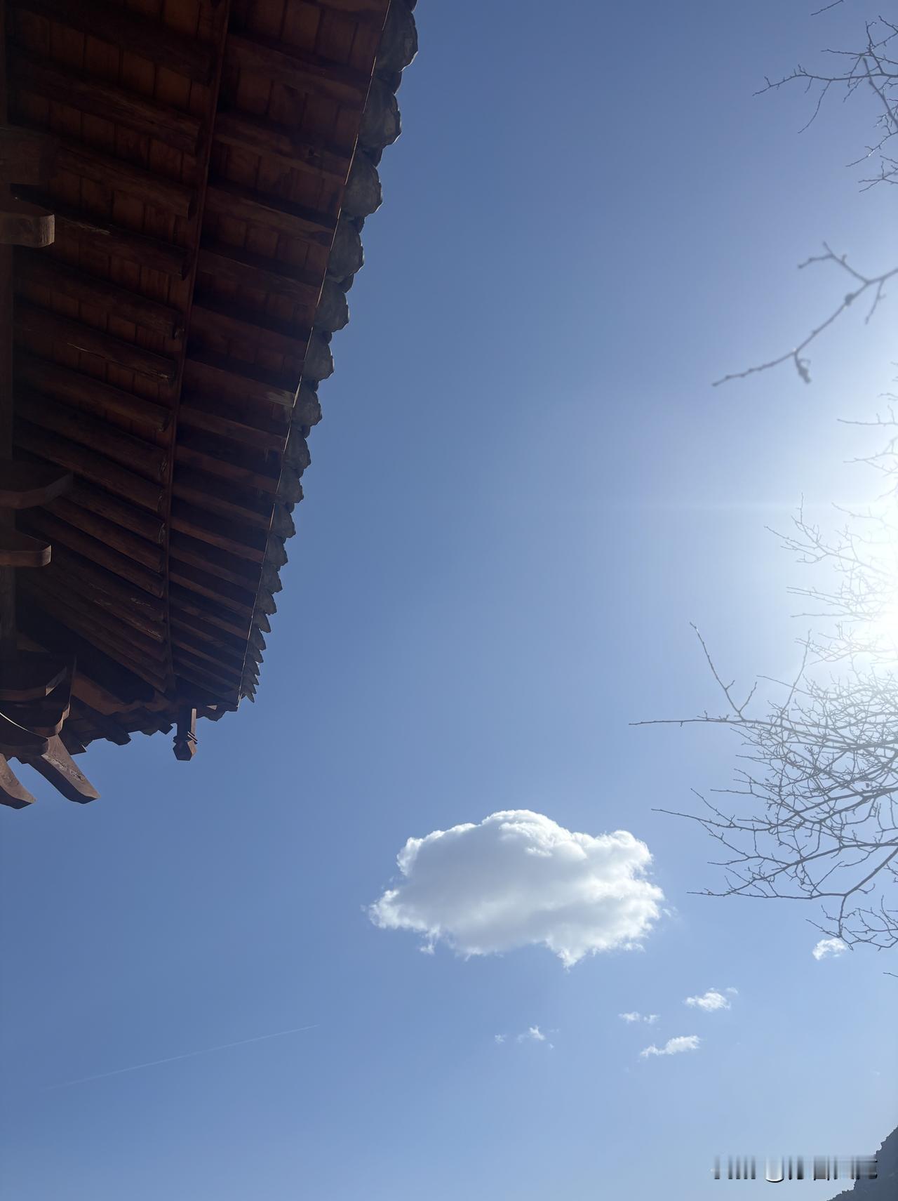 云朵为什么停留在庙宇之上
香客为什么驻足在庙堂之下

乌鸦为什么盘旋于山林
岩羊