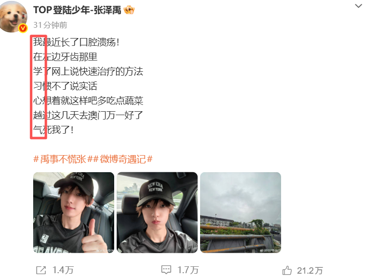 张泽禹发了藏头诗，好好奇是什么乐器啊