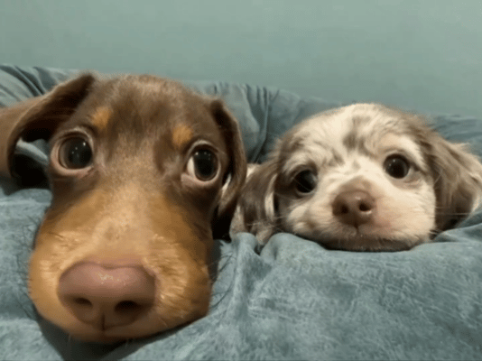 咱就是说雨刮器能不能关一下[允悲] ​​​