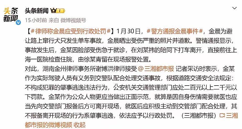 在金晨被曝肇事逃逸事件中，律师指出其作为事故实际驾驶员，离开现场前应向交警报备，