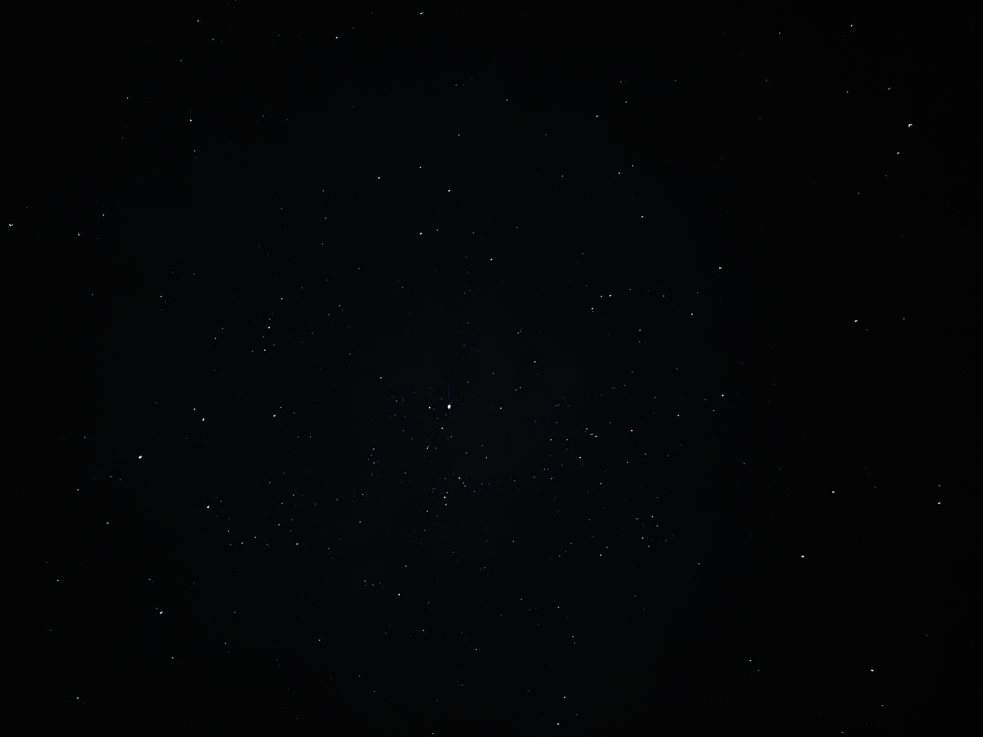 我向星星许愿 希望你一直在我身边