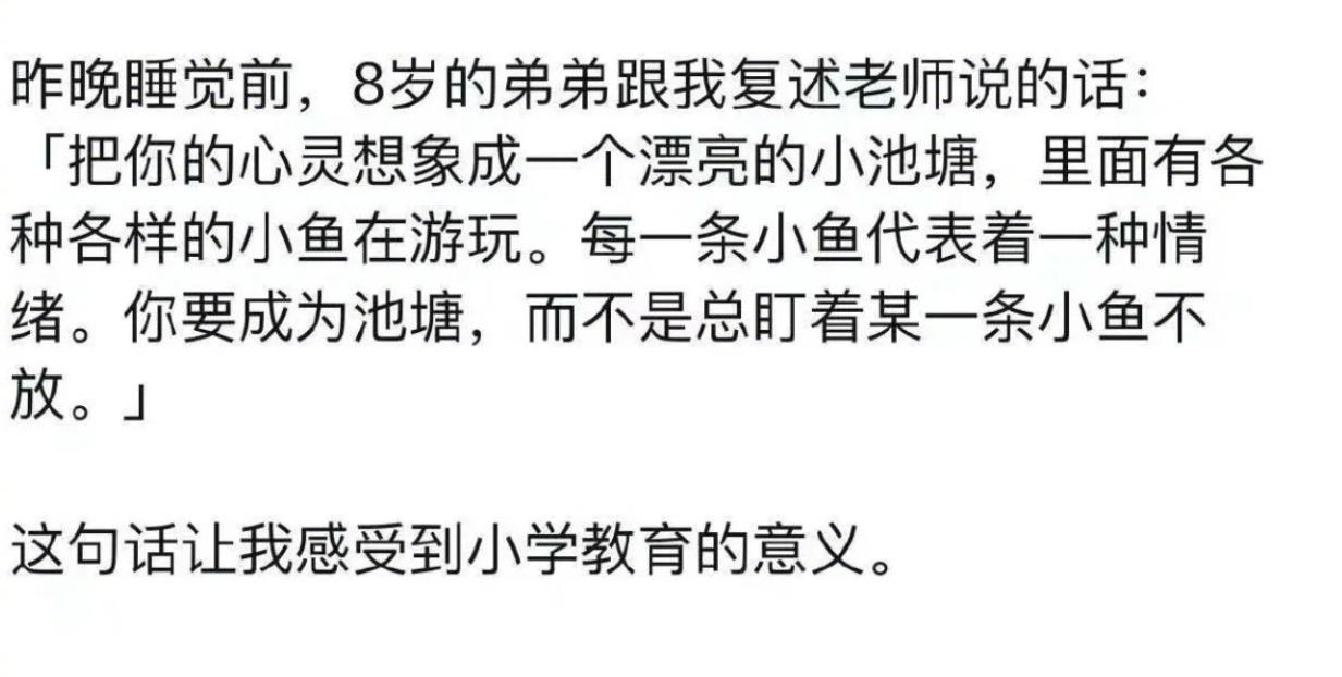 这句话让我感受到小学教育的意义