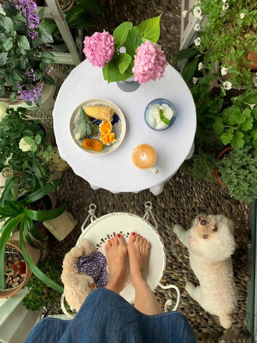 梅雨季的快乐暂有晴天阳台早餐的快乐有咖啡就行降低要求幸福感提升（补发） 