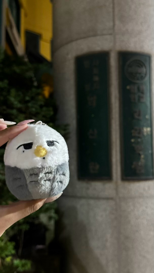 雕又来了 