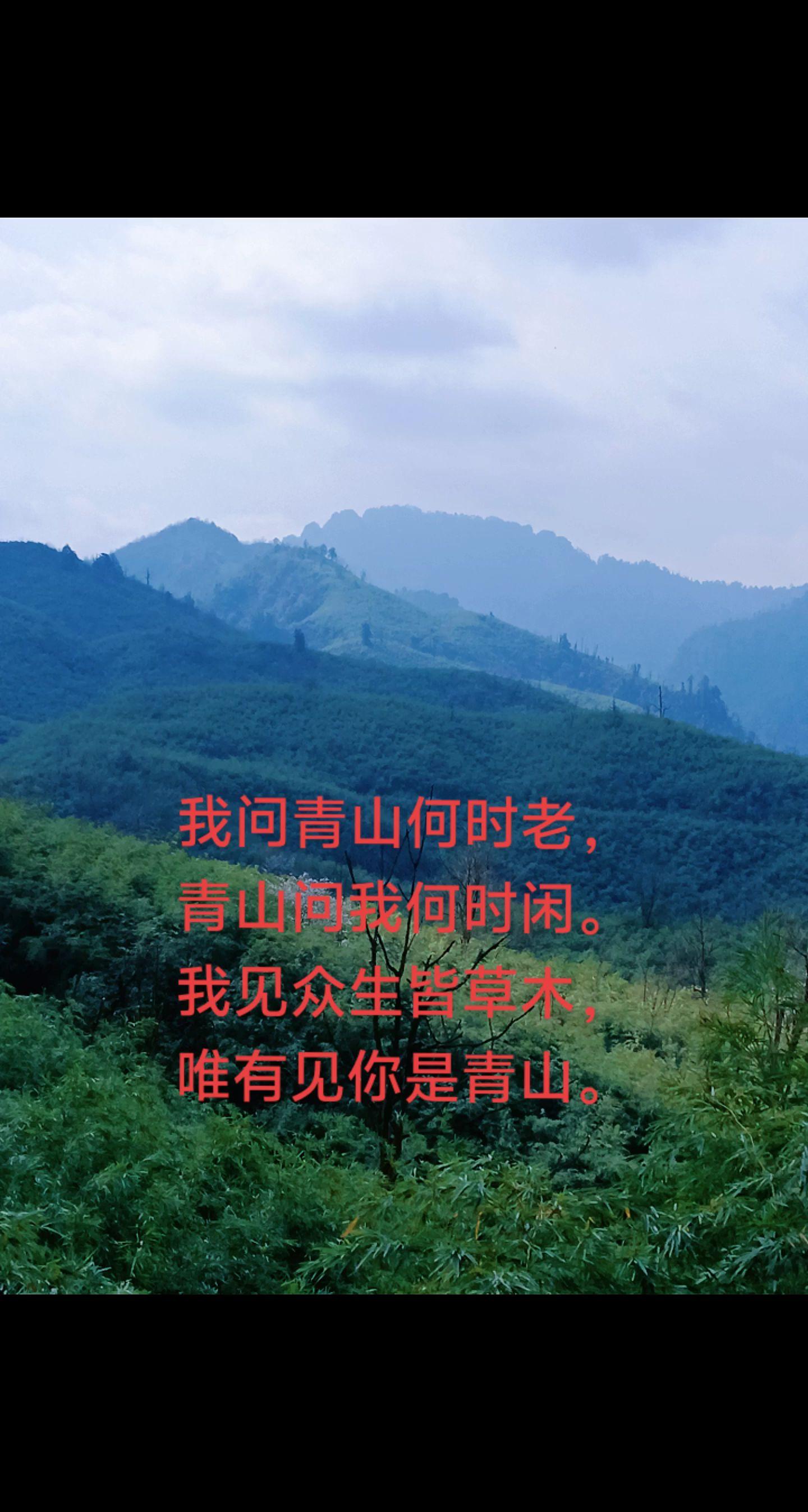 那些描写山川的诗句，你最先想到的是哪一句？