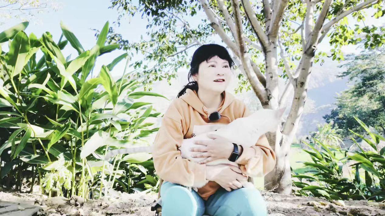 春风十里昆明有你 在昆明，彭老师在退休后自发救助了百余只流浪猫和被遗弃的猫咪，每