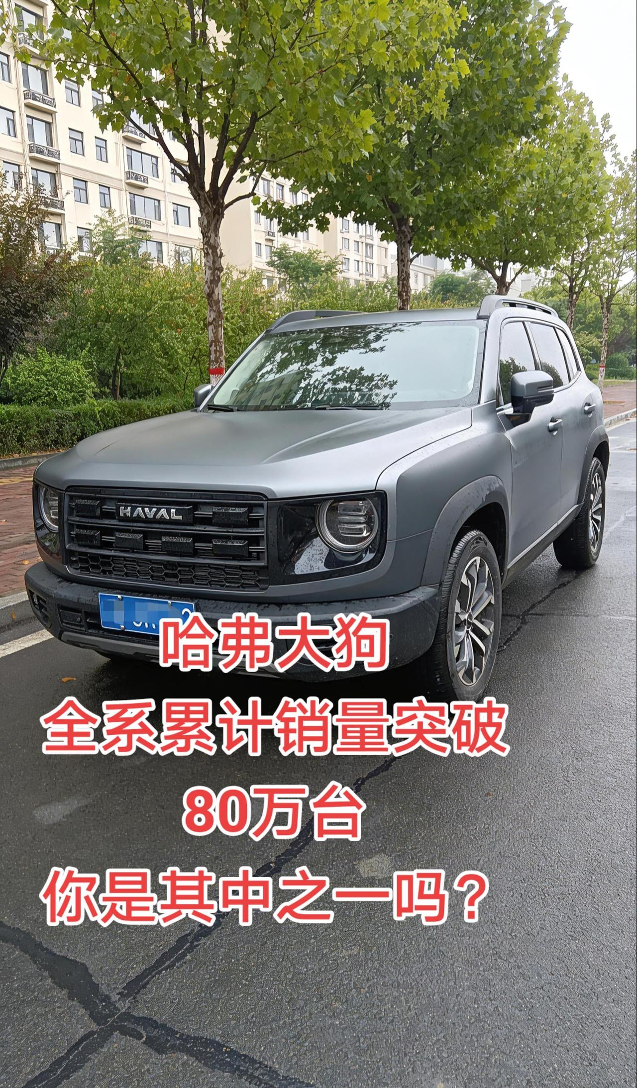 上市不到6年，已经突破80万台，80万的狗友，你们好