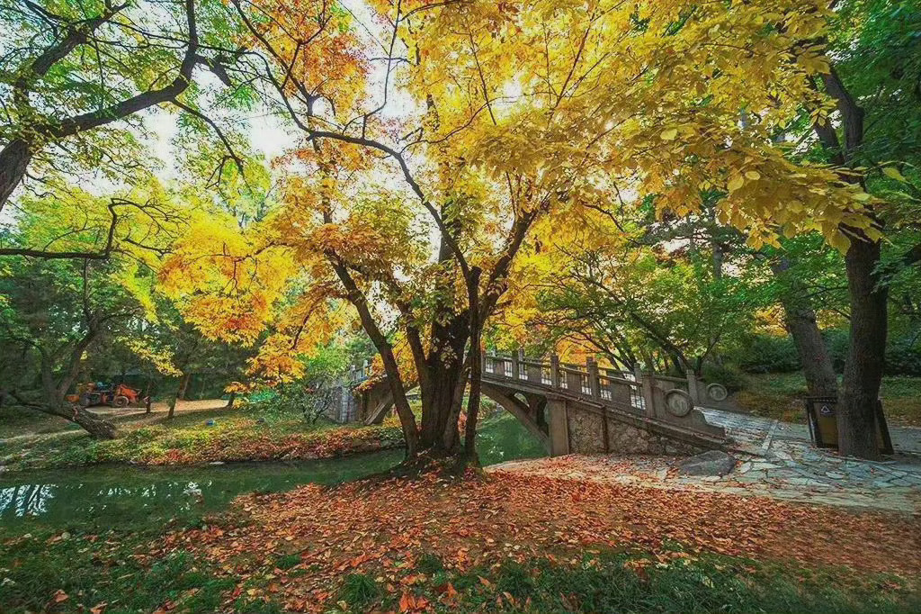 颐和园秋赏 | 一年好景君须记，最是橙黄橘绿时！ 