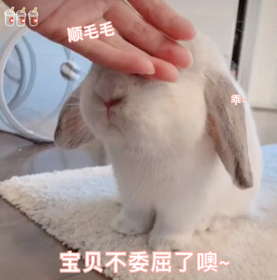 12星座恋爱里共情能力排名：第一梯队：双鱼、巨蟹能捕捉你的细微情绪，跟着你一起感