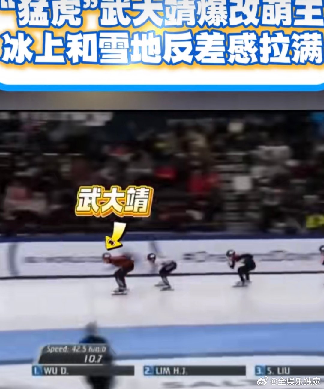 武大靖你好星期六反差萌武大靖赛场猛虎变雪地萌主 从冰上的速度王者到雪地的萌系担当