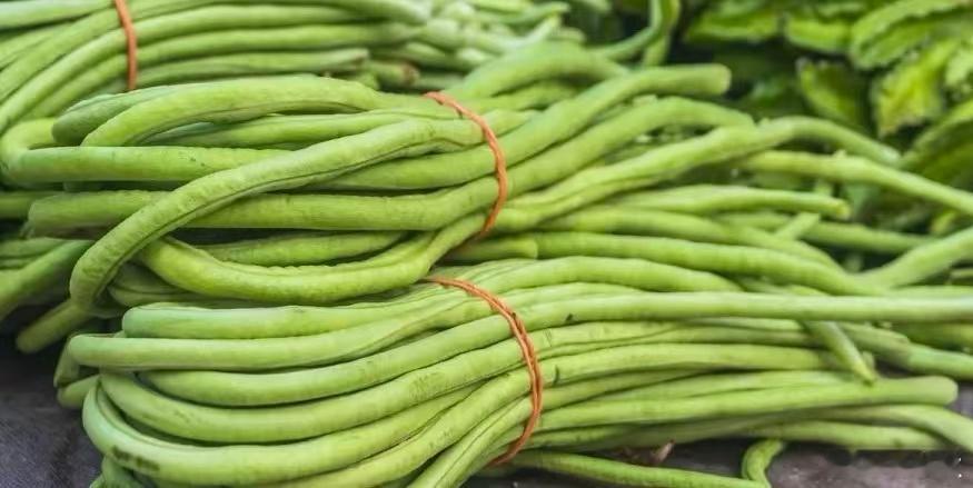 豆角到底是什么？昨晚直播的时候，说到“豆角”。没想到，直播间的粉丝，对“豆角到底